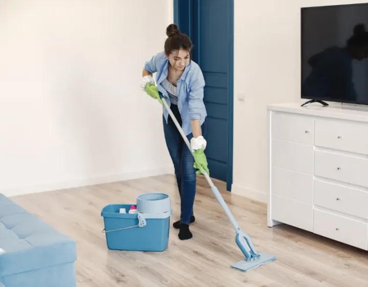 Femme de ménage Machilly